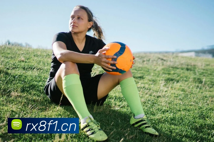 乐鱼在线登录入口网址发展历程